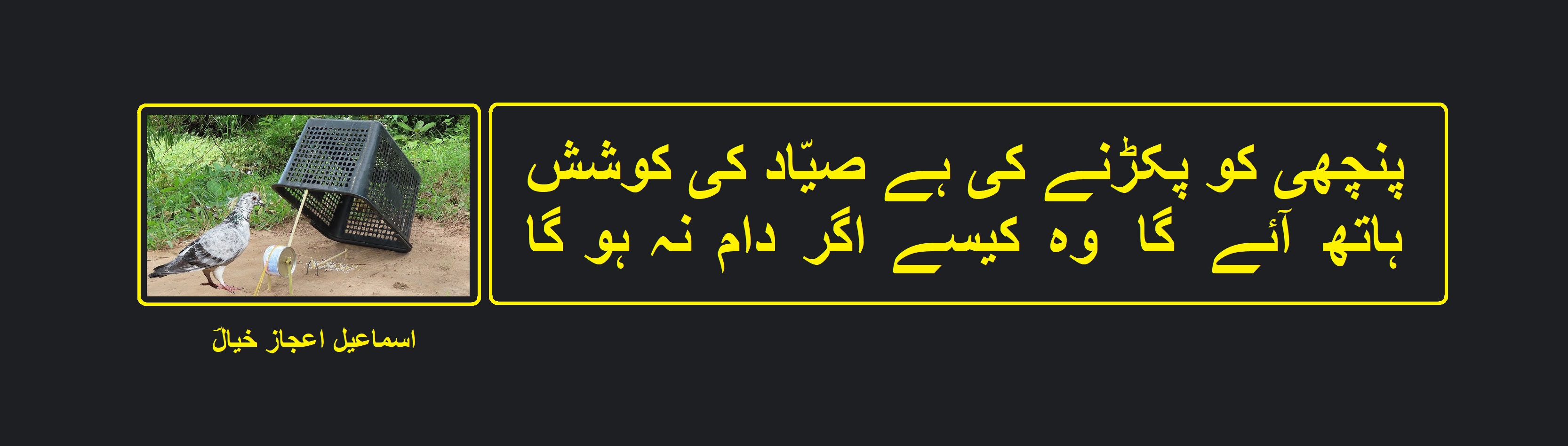 ہاتھ آئے گا وہ کیسے اگر دام نہ ہو گا.jpg