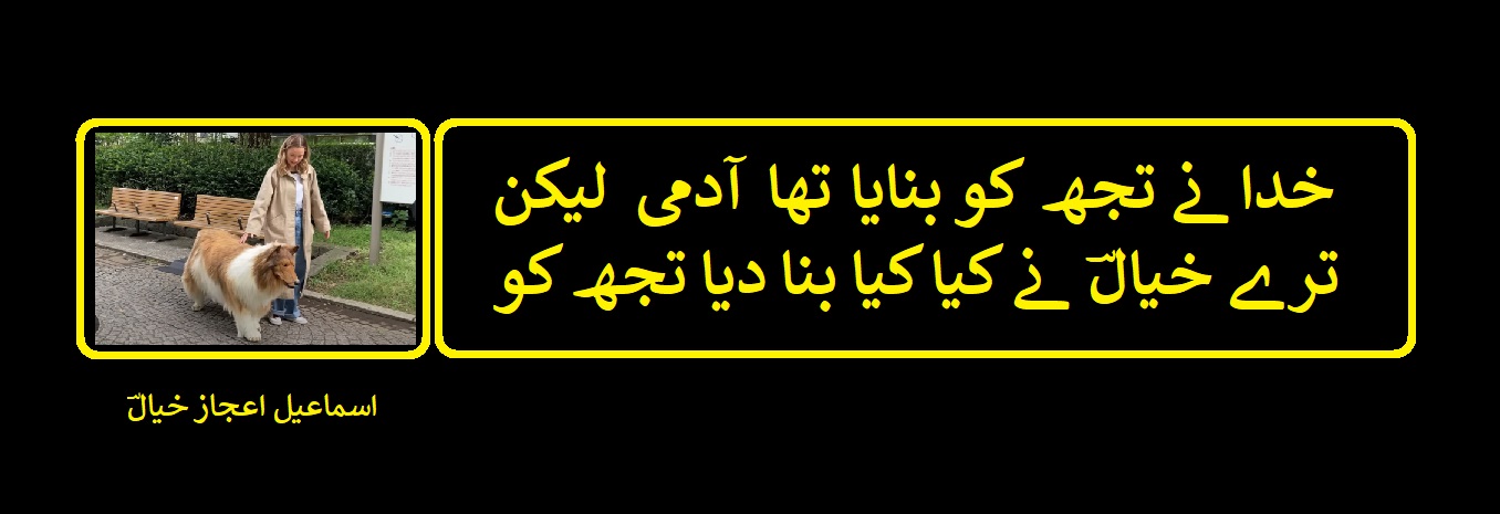 ترے خیالؔ نے کیا کیا بنا دیا تجھ کو.jpg