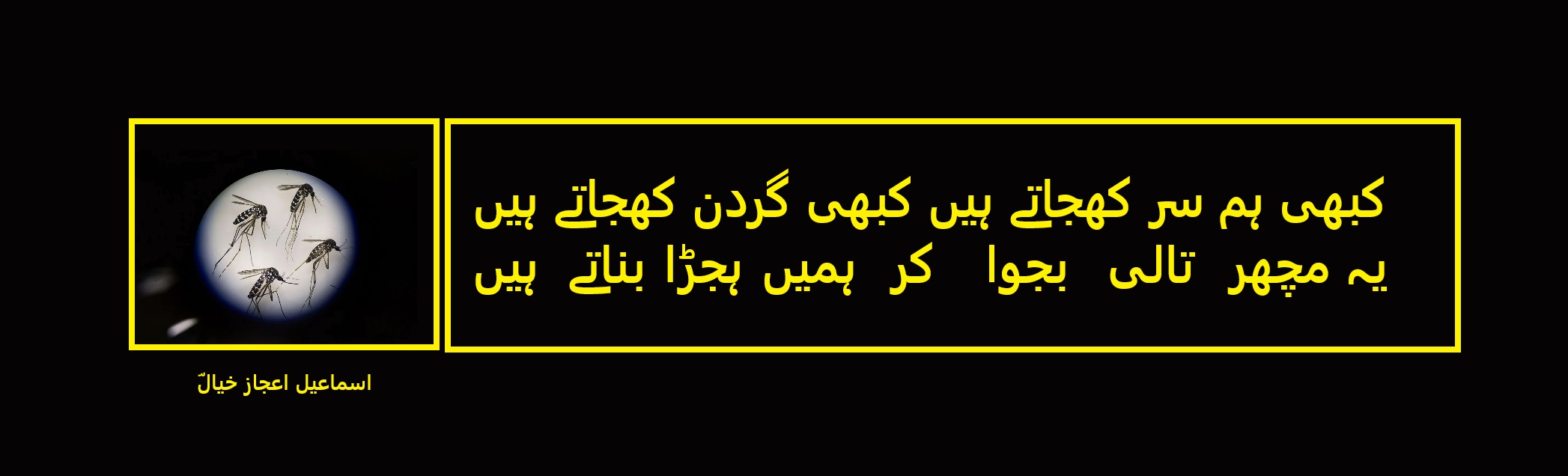 یہ مچھر تالی بجوا کر ہمیں ہجڑا بناتے ہیں.jpg