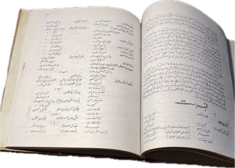 HameedNazir-B.jpg