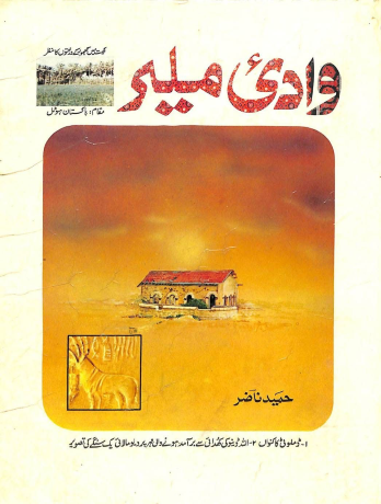 HameedNazir-c.png