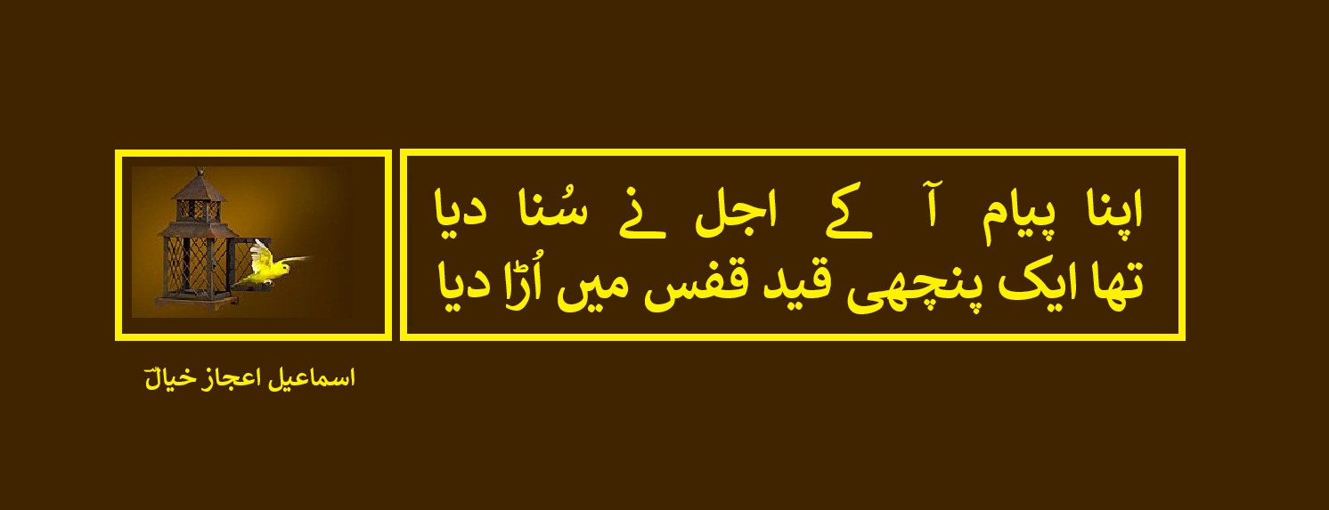 تھا ایک پنچھی قید قفس میں اُڑا دیا.jpg
