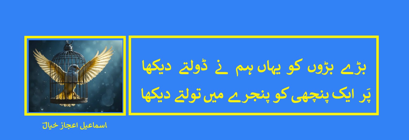 پَرایک  پنچھی کو پنجرے میں تولتے دیکھا.jpg