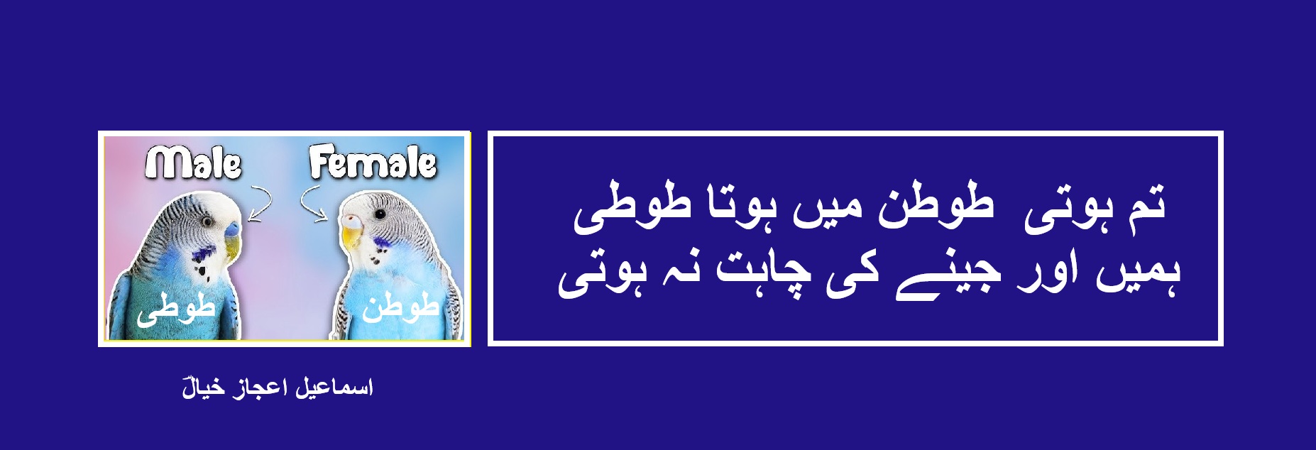 ہمیں اور جینے کی چاہت نہ ہوتی.jpg