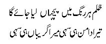zulm.jpg
