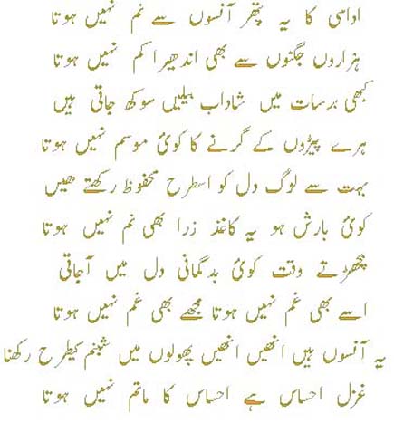 basheer bader    i.jpg