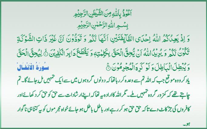 Qur'an S-008 ayat-007-8 01312011.jpg