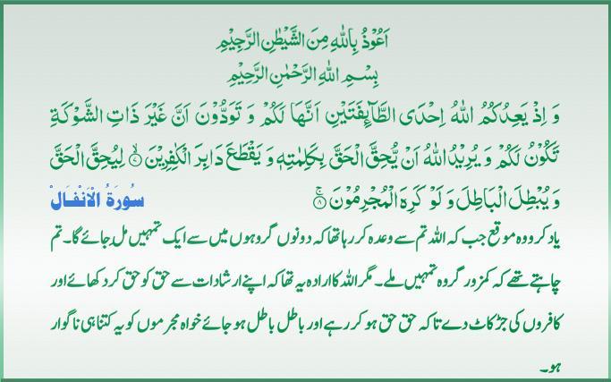Qur'an S-008 ayat-007-8 01312011.jpg