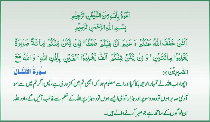 Qur'an S-008 ayat-066 03092011.jpg