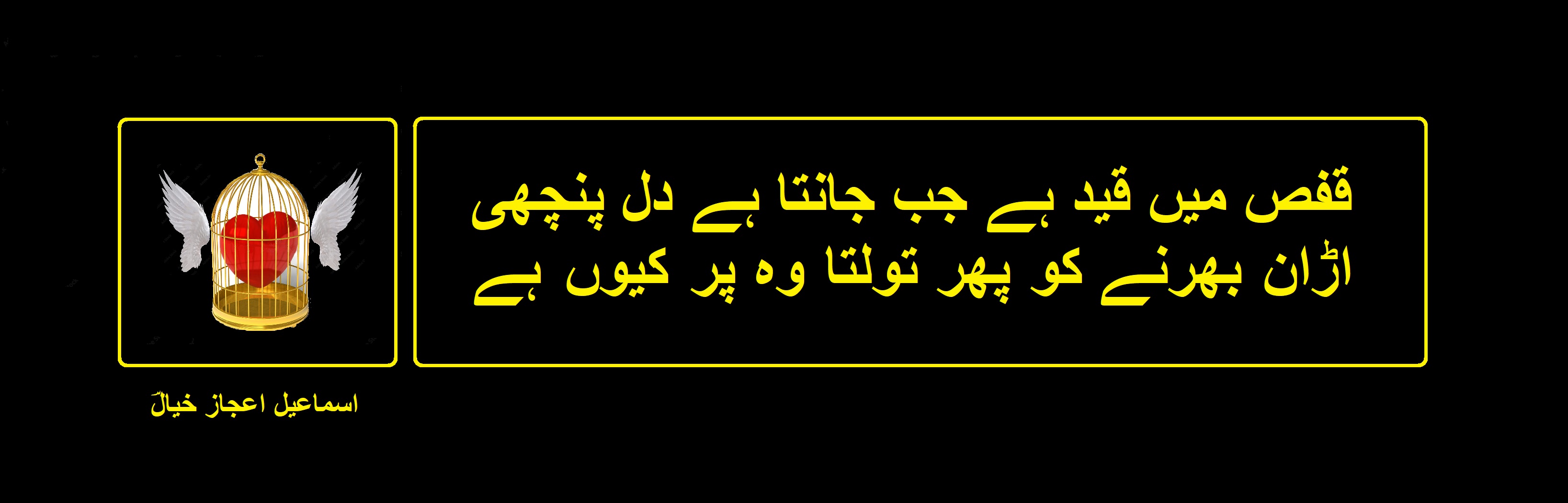 اڑان بھرنے کو پھر تولتا وہ پر کیوں ہے.jpg